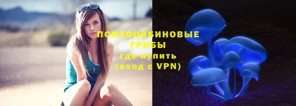 твердый Алексеевка