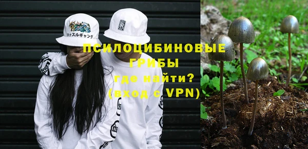 твердый Алексеевка