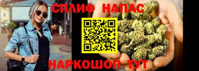 альфа пвп Лениногорск