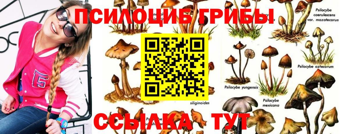 Галлюциногенные грибы GOLDEN TEACHER Курган