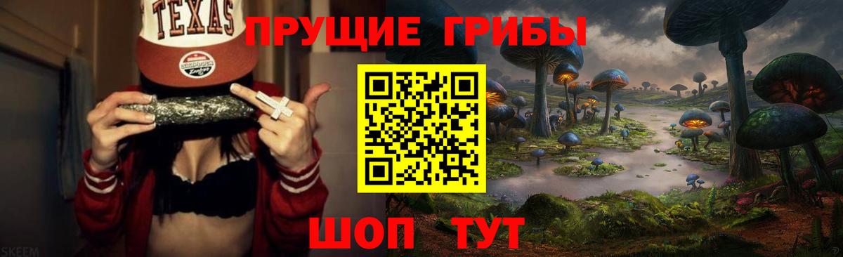Курган  Псилоцибиновые грибы Magic Shrooms  Вход с VPN 